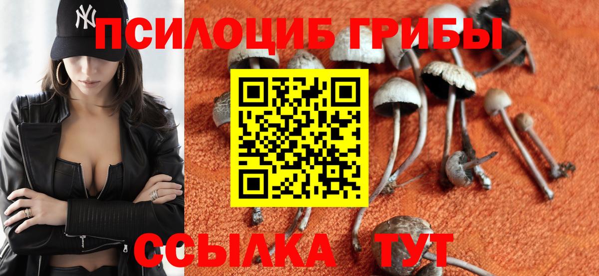 Галлюциногенные грибы Psilocybe Обь