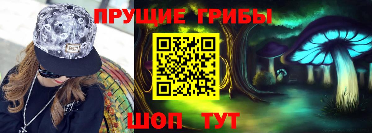Псилоцибиновые грибы GOLDEN TEACHER  Вход с VPN  Обь 